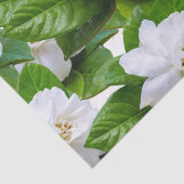 Witte tuinbloemen en groen tissuepapier (Detail)