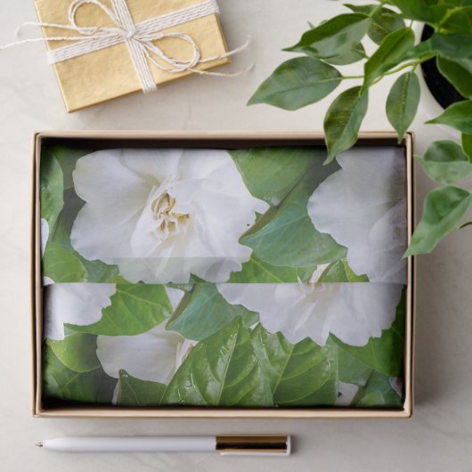 Witte tuinbloemen en groen tissuepapier (Geschenk)