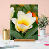 Witte Tulp Acryl Bord (Huwelijk)