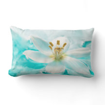 Witte Tulp Bloem Blauwe Water Vijver Aqua Turquois