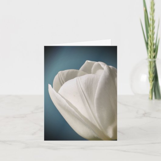 Witte Tulp Bloem Fotografie Notitiekaartje (Voorkant)