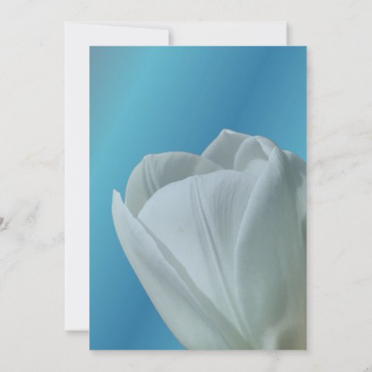 Witte Tulp Bloem Petals Party Kaart (Achterkant)