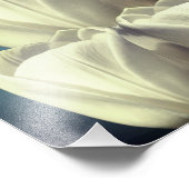 Witte Tulp Bloemen Art 8x10 Foto Afdruk (Hoek)