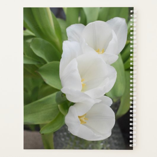 Witte Tulp Bloemendagplanner/Organizer Planner (Achterkant)