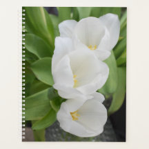 Witte Tulp Bloemendagplanner/Organizer