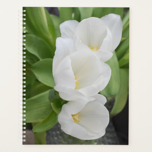 Witte Tulp Bloemendagplanner/Organizer Planner (Voorkant)