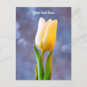 Witte Tulp Briefkaart (Voorkant)
