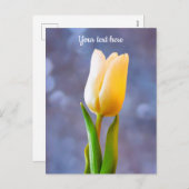 Witte Tulp Briefkaart (Voorkant / Achterkant)
