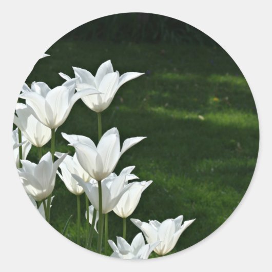 Witte tulp Bruiloft sticker (Voorkant)