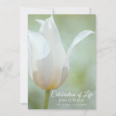 Witte Tulp Lente Viering van het Leven Begrafenis Kaart (Voorkant)