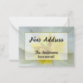 Witte Tulp Nieuwe Adres Aankondiging (Voorkant)