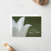 Witte Tulp op Groen Deel een Geheugenbegrafenis Notitiekaartje (Voorkant / Achterkant in situ)