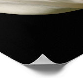 Witte Tulp ventilator in zonlicht Poster (Hoek)