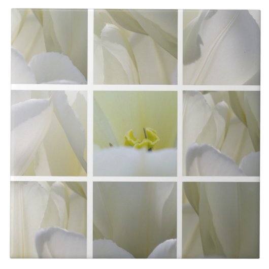 Witte Tulp Vierkant Mozaïek Tegeltje (Voorkant)