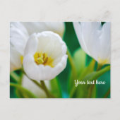 Witte Tulp Wenskaart Feestdagenkaart (Voorkant)