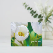 Witte Tulp Wenskaart Feestdagenkaart (Staand voorkant)