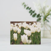 Witte Tulpbloemen Briefkaart (Staand voorkant)