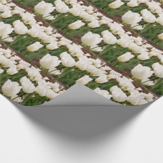 Witte Tulpbloemen Cadeaupapier (Hoek)