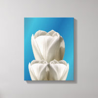 Witte Tulpbloemen