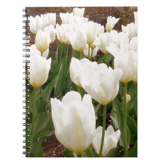 Witte Tulpbloemen Notitieboek (Voorkant)
