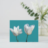 witte tulpbloemen op aqua blauwe achtergrond briefkaart (Staand voorkant)