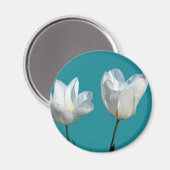 witte tulpbloemen op aqua blauwe achtergrond magneet (Voorkant / Achterkant)