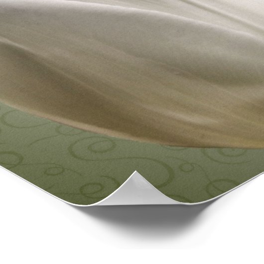 Witte Tulpbloemen Poster (Hoek)