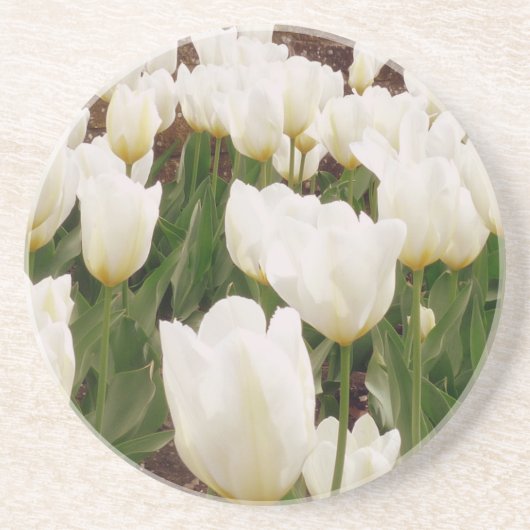 Witte Tulpbloemen Zandsteen Onderzetter (Voorkant)