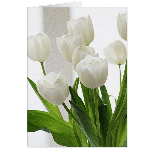 Witte Tulpen - art-db (Voorkant)