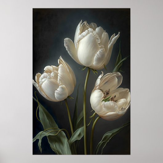 Witte tulpen bloem kunstprint poster (Voorkant)