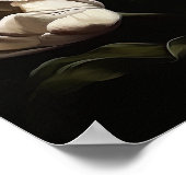 Witte Tulpen Bloemen Art Print Poster (Hoek)