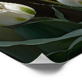 Witte Tulpen Bloemenkunst Print Poster (Hoek)