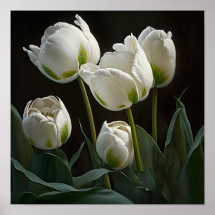 Witte Tulpen Bloemenkunst Print Poster
