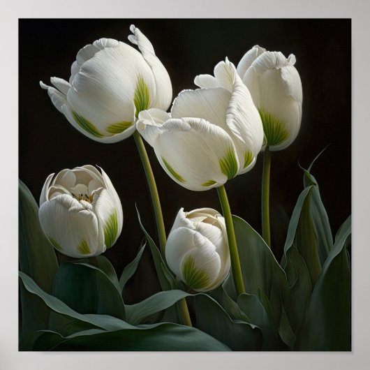 Witte Tulpen Bloemenkunst Print Poster (Voorkant)