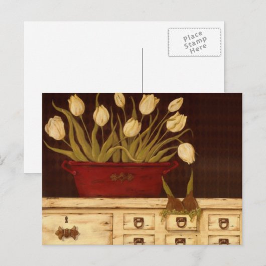 witte tulpen briefkaart (Voorkant / Achterkant)