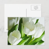 Witte tulpen briefkaart (Voorkant / Achterkant)