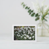 Witte Tulpen (Grenzen) Visitekaartje (Staand voorkant)