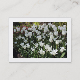 Witte Tulpen (Grenzen) Visitekaartje