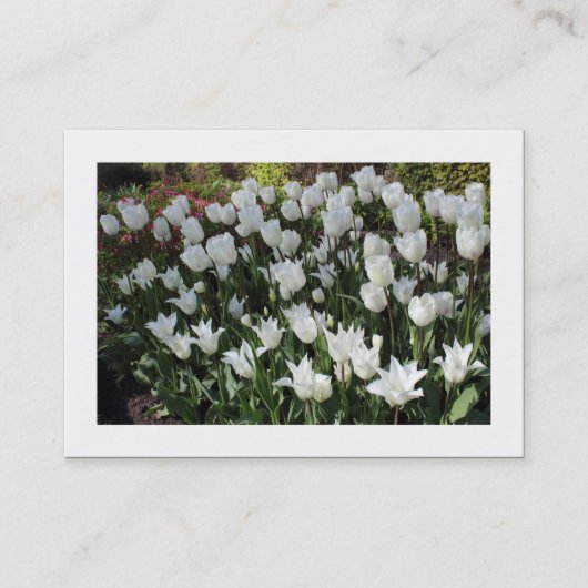 Witte Tulpen (Grenzen) Visitekaartje (Voorkant)