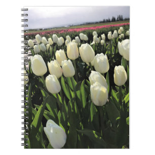Witte Tulpen in een veld, Oregon Notitieboek