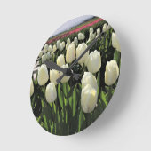 Witte Tulpen in een veld, Oregon Ronde Klok (Hoek)