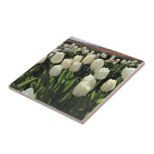 Witte Tulpen in een veld, Oregon Tegeltje (Zijkant)