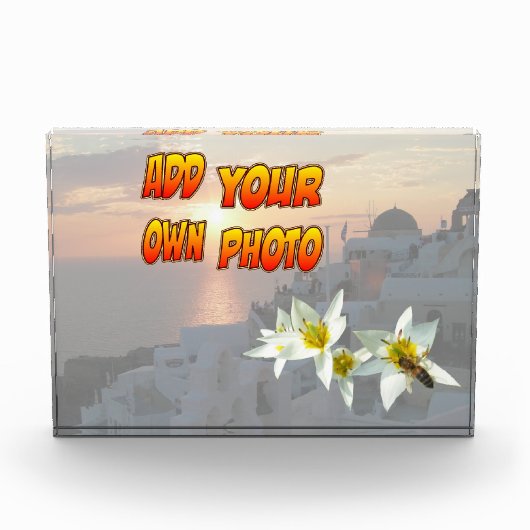Witte tulpen met bijenfotoblok fotoblokken (Voorkant)