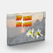 Witte tulpen met bijenfotoblok fotoblokken (Links)