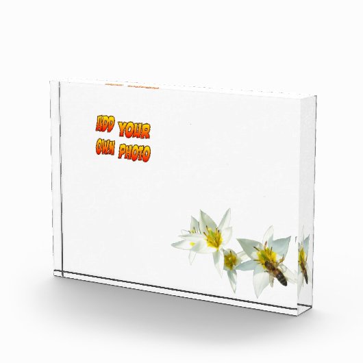 Witte Tulpen met bijenkust. Fotoblok (Rechts)