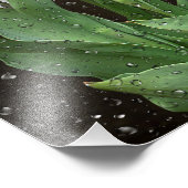 witte tulpen met regendruppels foto afdruk (Hoek)