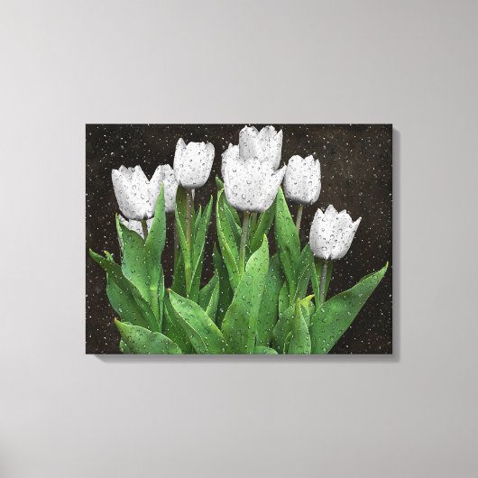 Witte Tulpen met regendruppels op glas Canvas Afdruk (Voorkant)