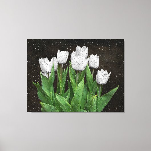 Witte Tulpen met regendruppels op glas Canvas Afdruk (Voorkant)