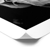 Witte Tulpen op zwarte achtergrond Poster (Hoek)