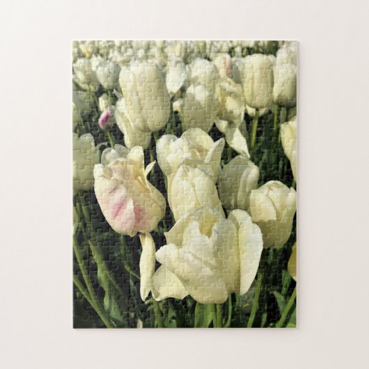 Witte Tulpen, Oregon Legpuzzel (Verticaal)